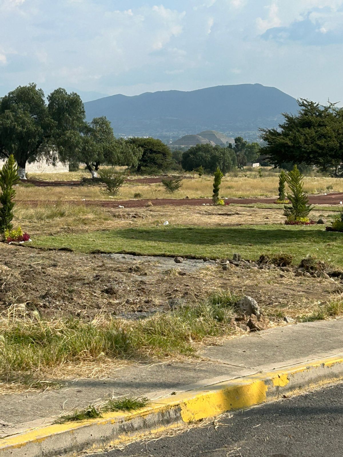 Calandrias Teotihuacan